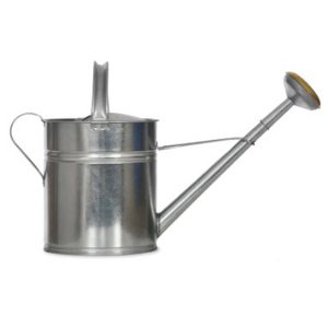 WCGS03 a Extra Large Grey 10 L Watering Can